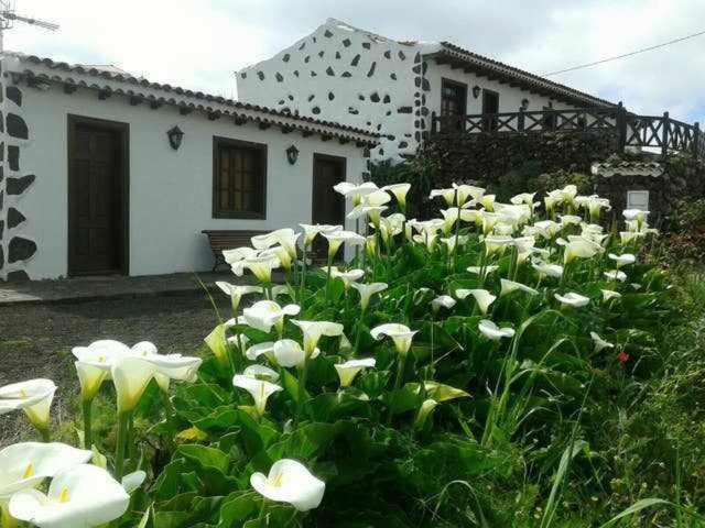 Casa Rural Monte Del Agua Vendégház Los Silos Szoba fotó