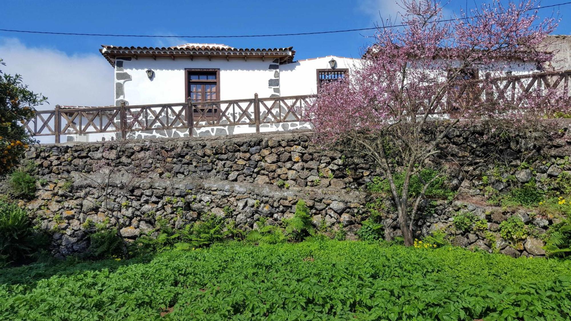 Casa Rural Monte Del Agua Vendégház Los Silos Kültér fotó